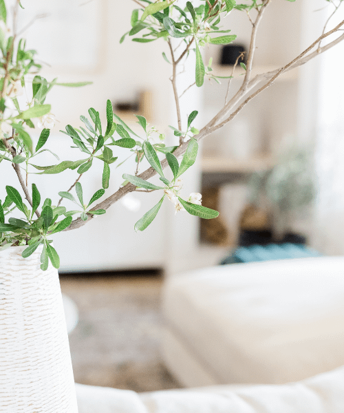 Easy Cleaning Tips for Mums